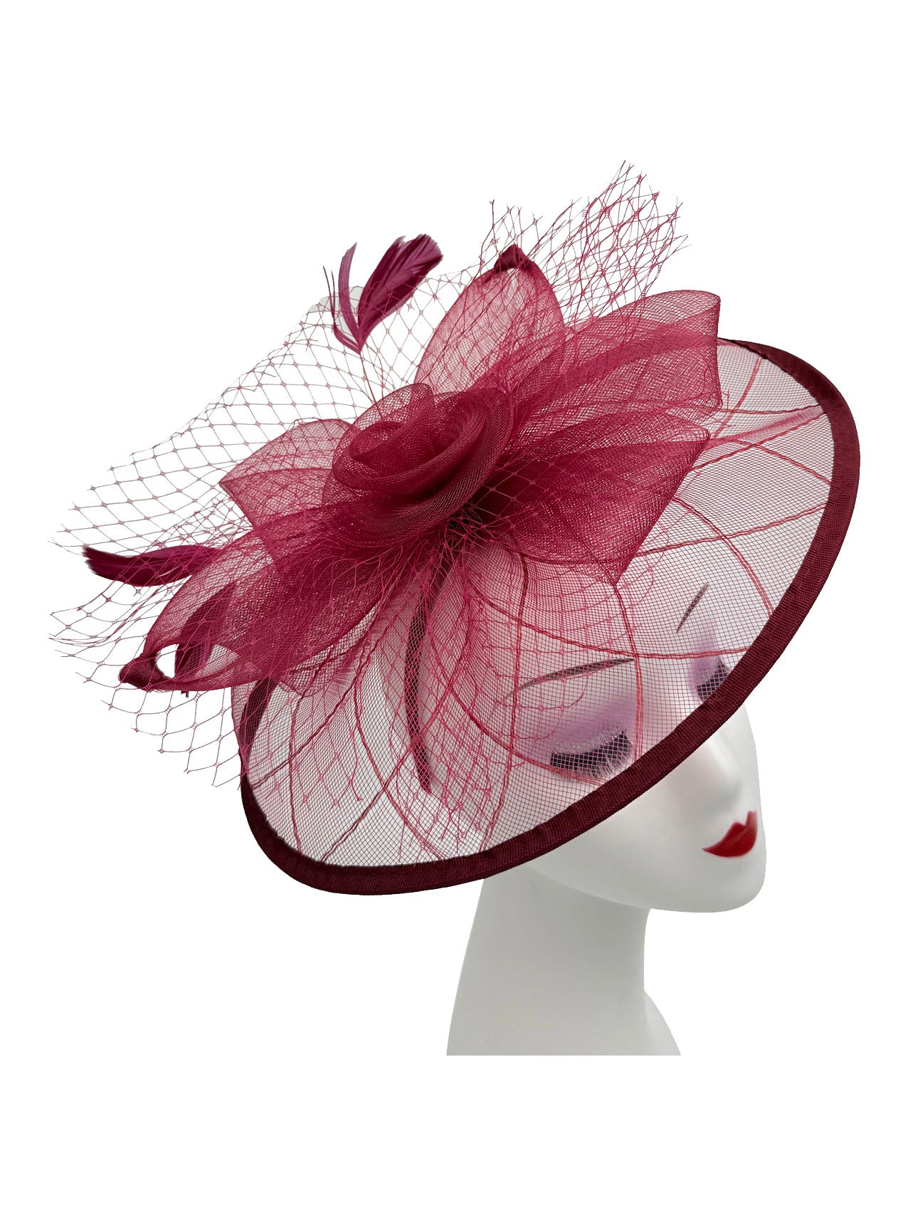 FT2511 Feathers and Mesh Detailing Fascinator