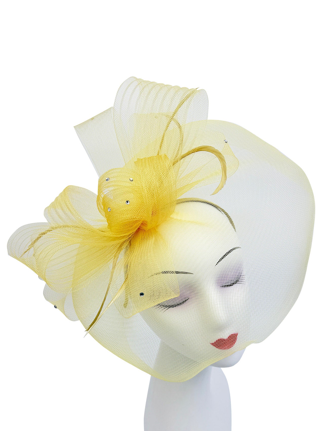 FT2610 Large Mesh Net Fascinator with Feathers and Diamante Detail