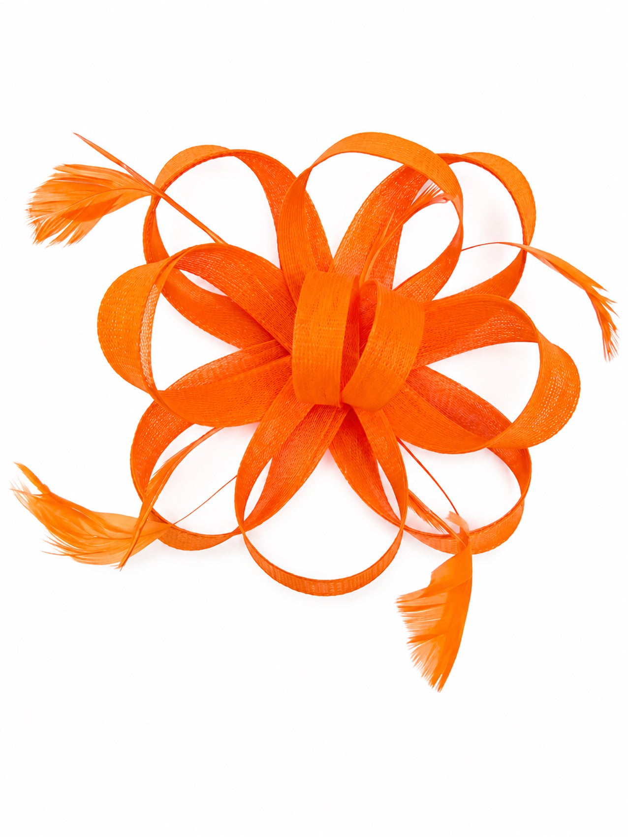 FT60750 Loopy Fascinator with Feathers Detailing