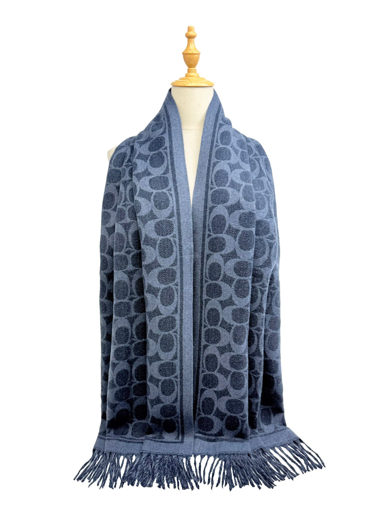 SF25130-194 Soft Interlocking Cs Printing Scarf with Tassels