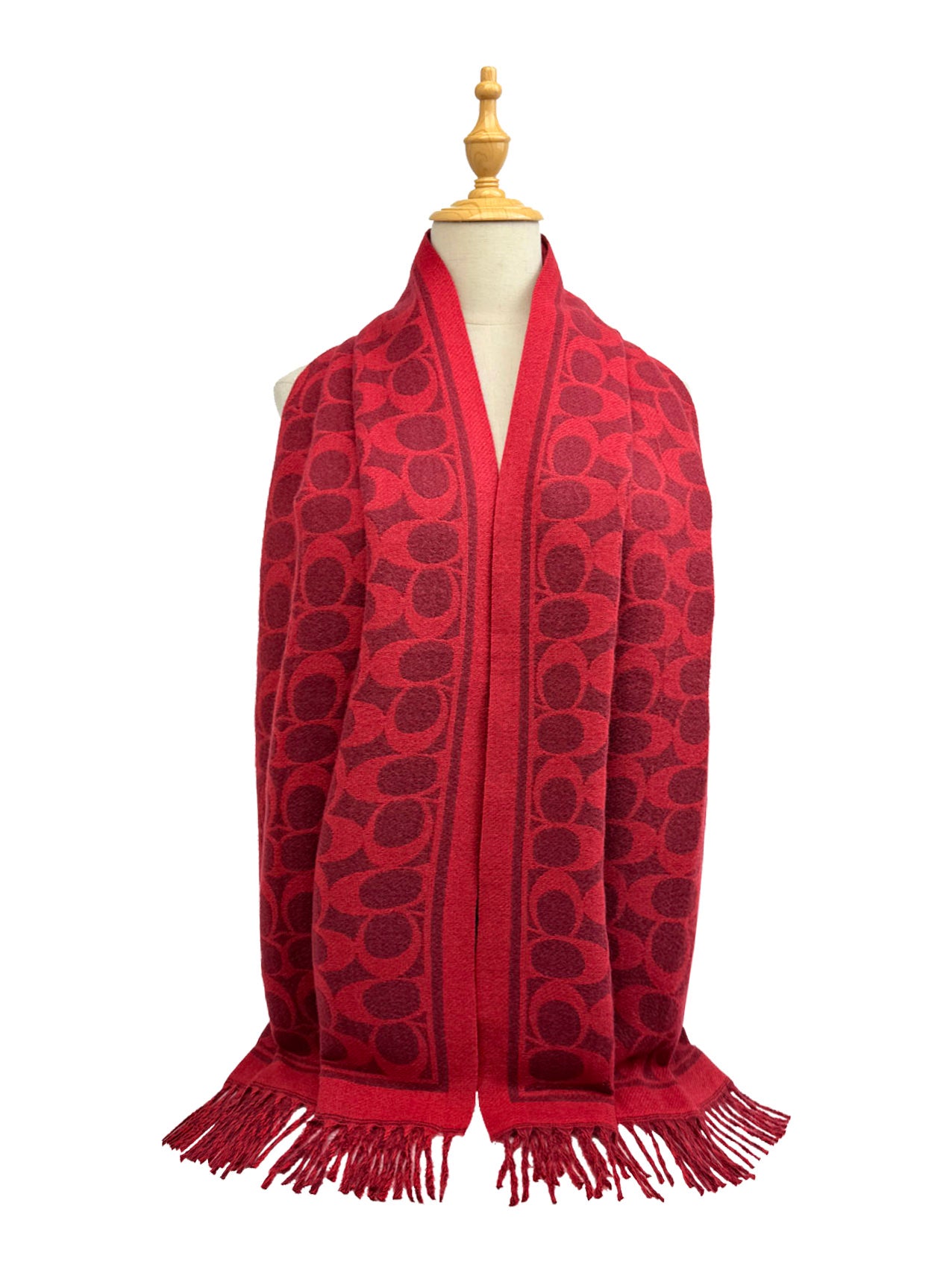 SF25130-194 Soft Interlocking Cs Printing Scarf with Tassels