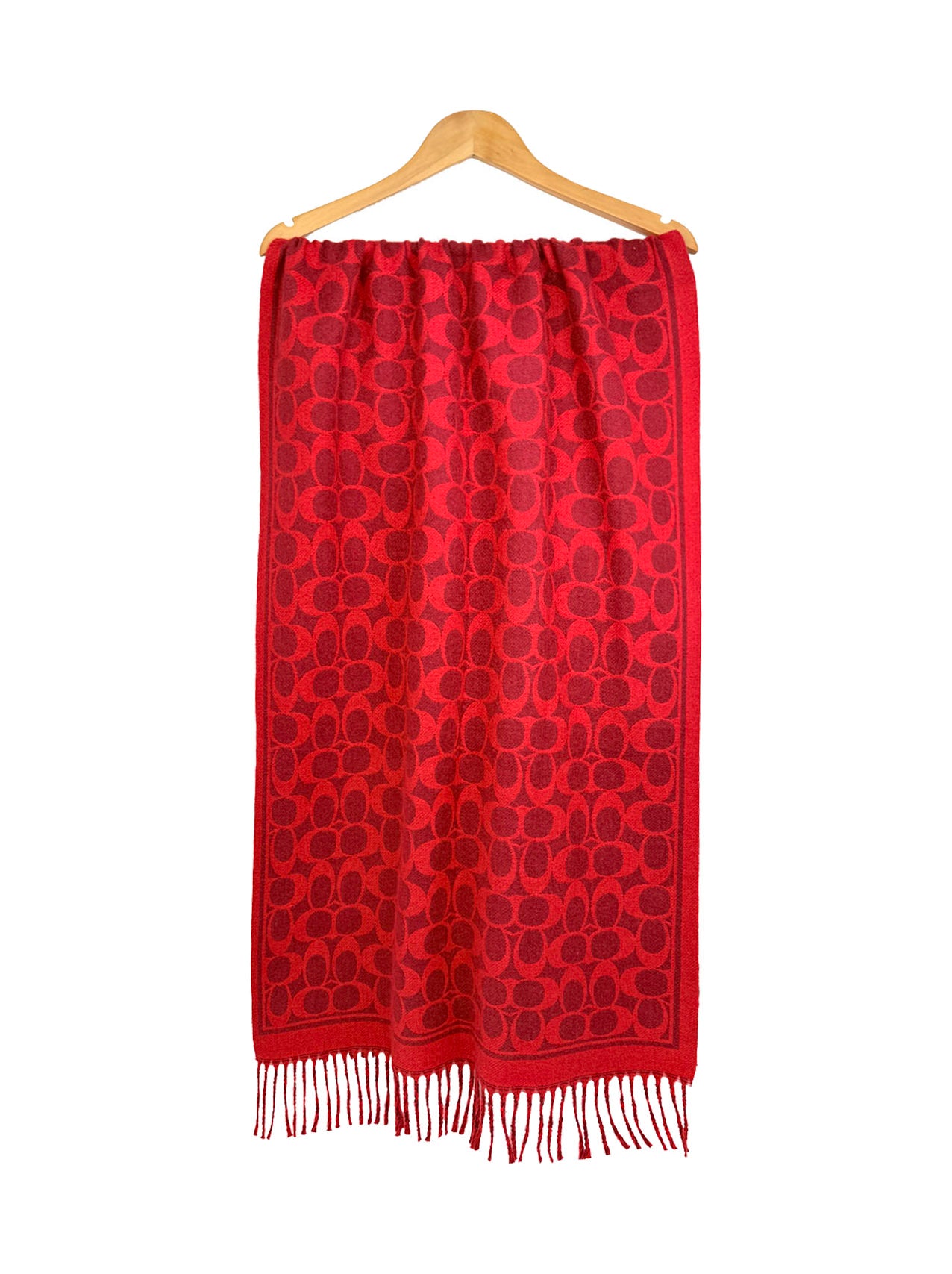 SF25130-194 Soft Interlocking Cs Printing Scarf with Tassels