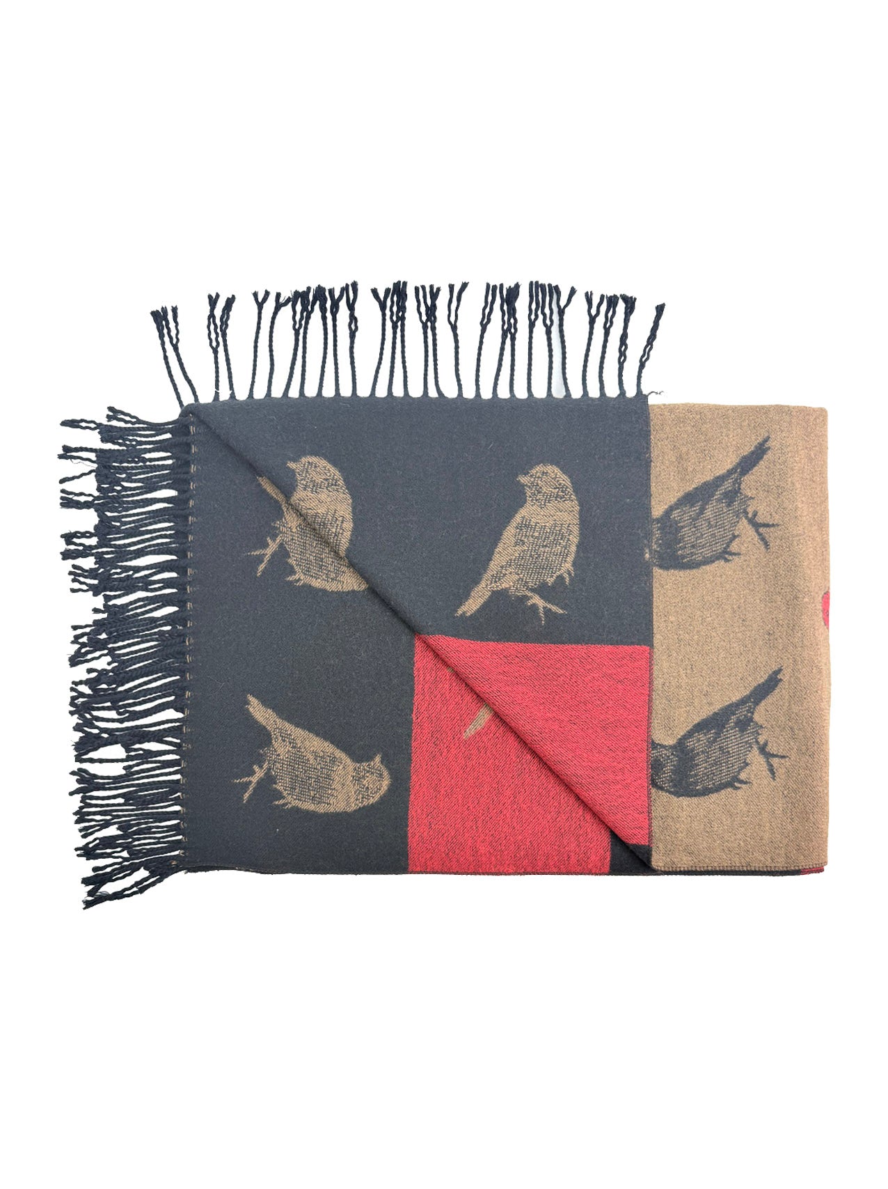 SF25190-250 Robin Bird Printing Reversible Scarf with Tassels