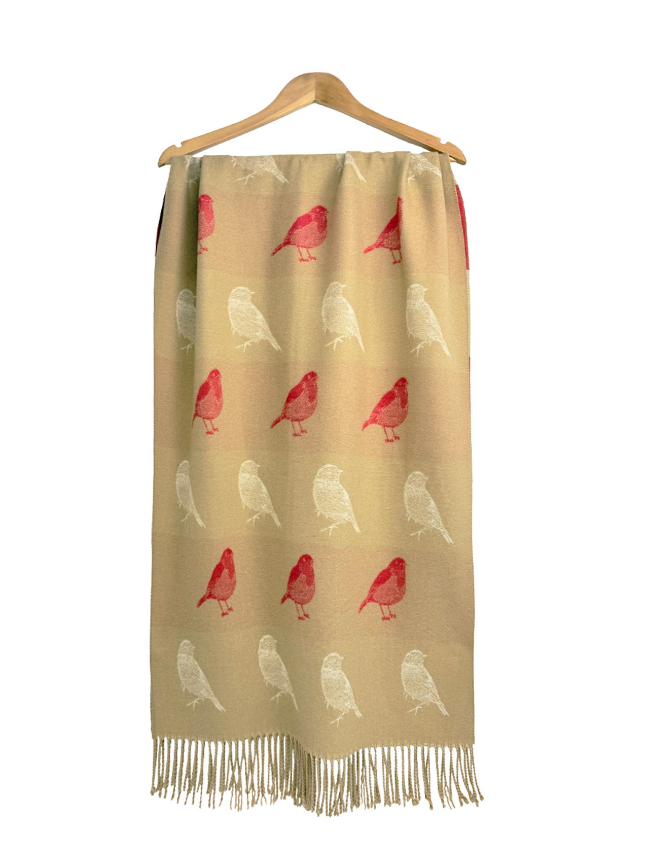 SF25190-250 Robin Bird Printing Reversible Scarf with Tassels