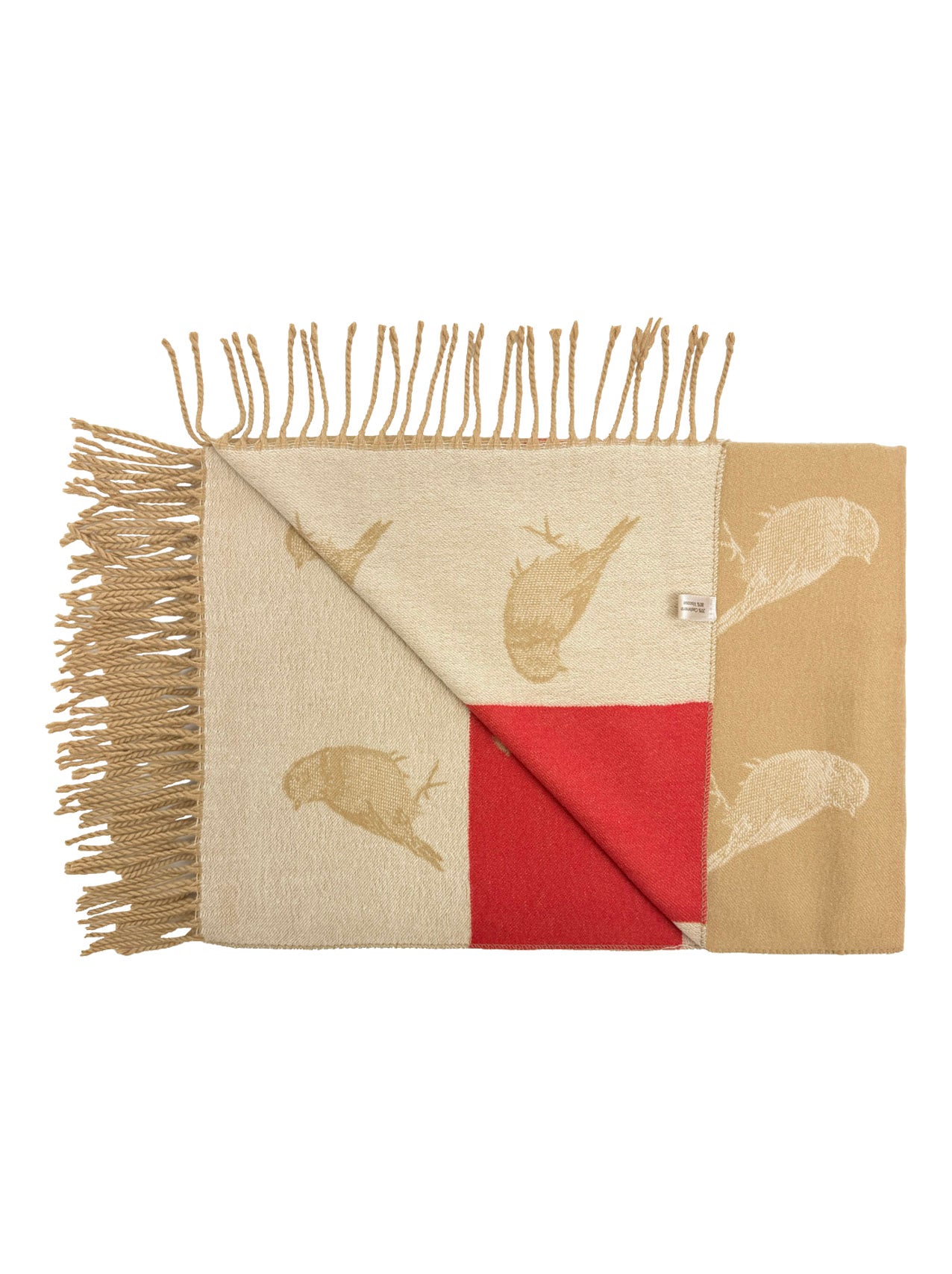 SF25190-250 Robin Bird Printing Reversible Scarf with Tassels