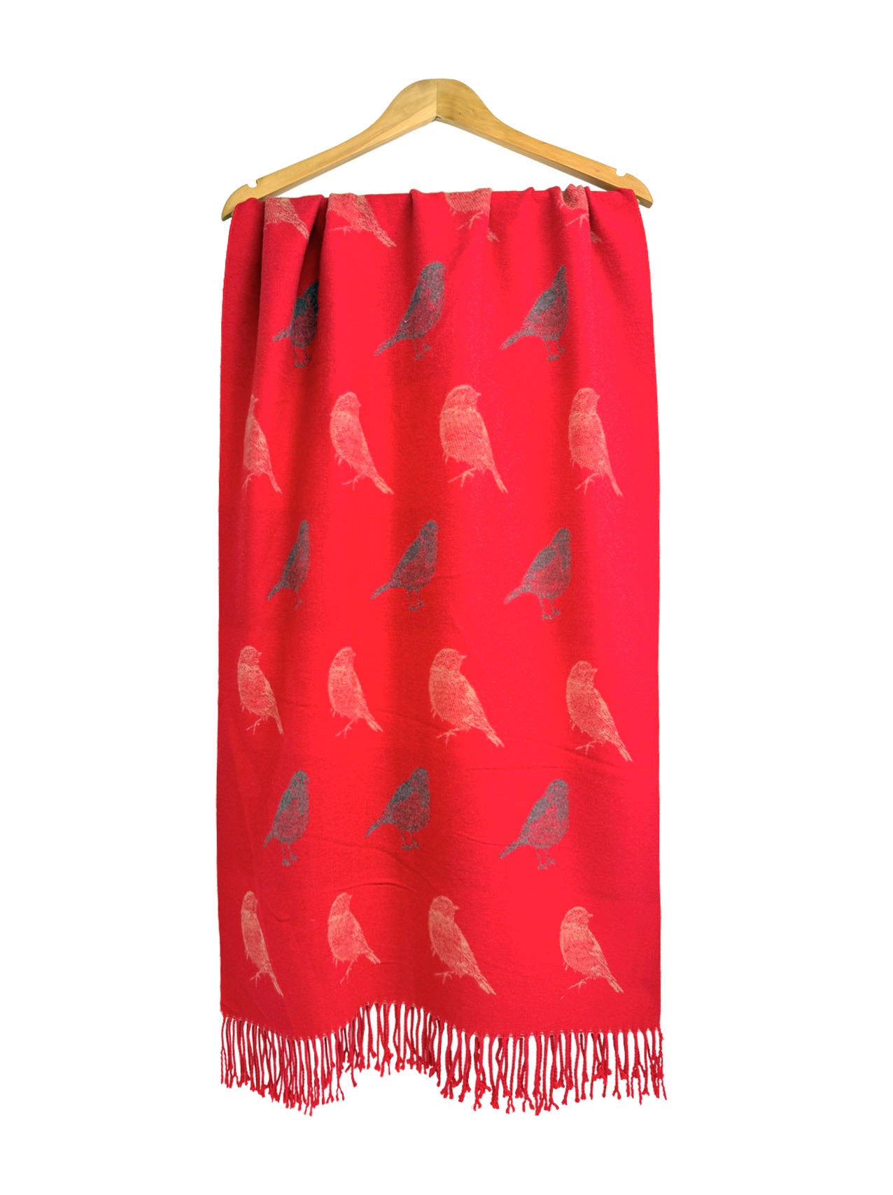 SF25190-250 Robin Bird Printing Reversible Scarf with Tassels