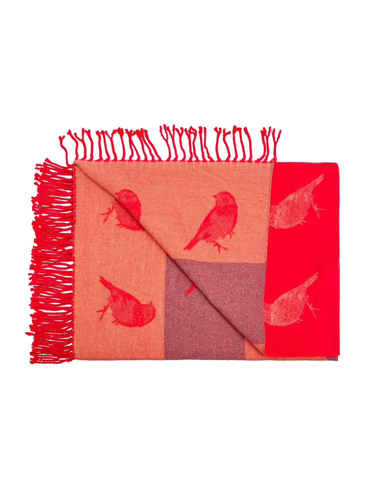 SF25190-250 Robin Bird Printing Reversible Scarf with Tassels