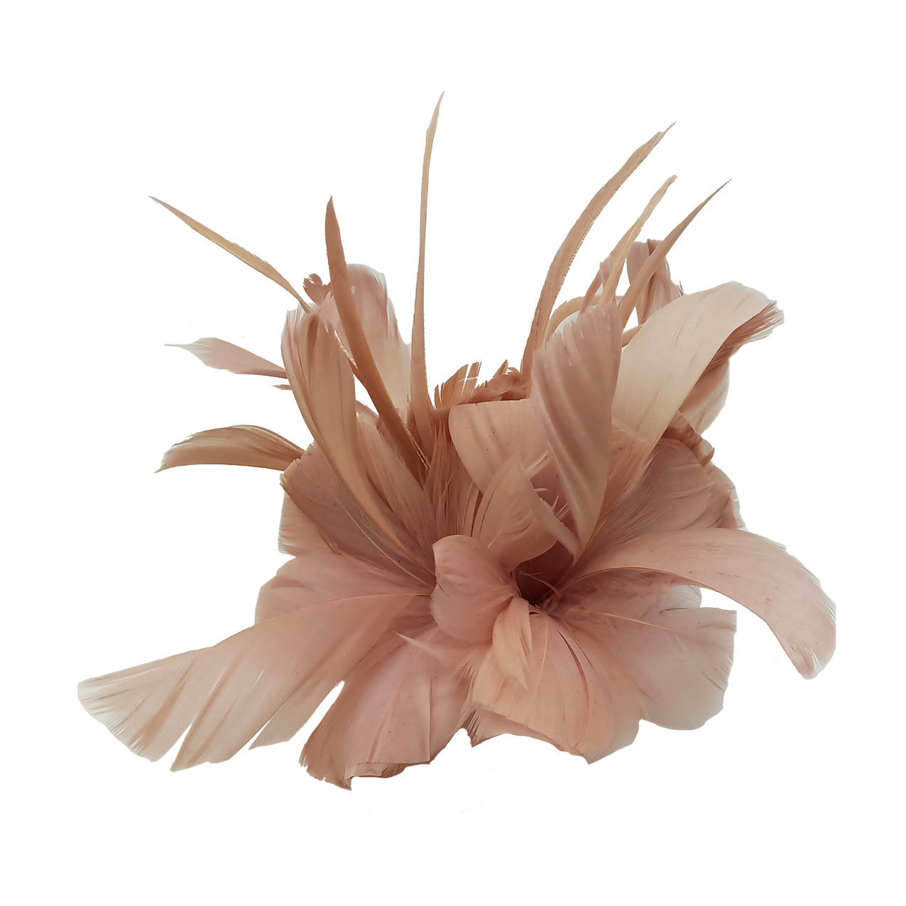 FT9138A Trimmed Feathers and Flowers Small Fascinator