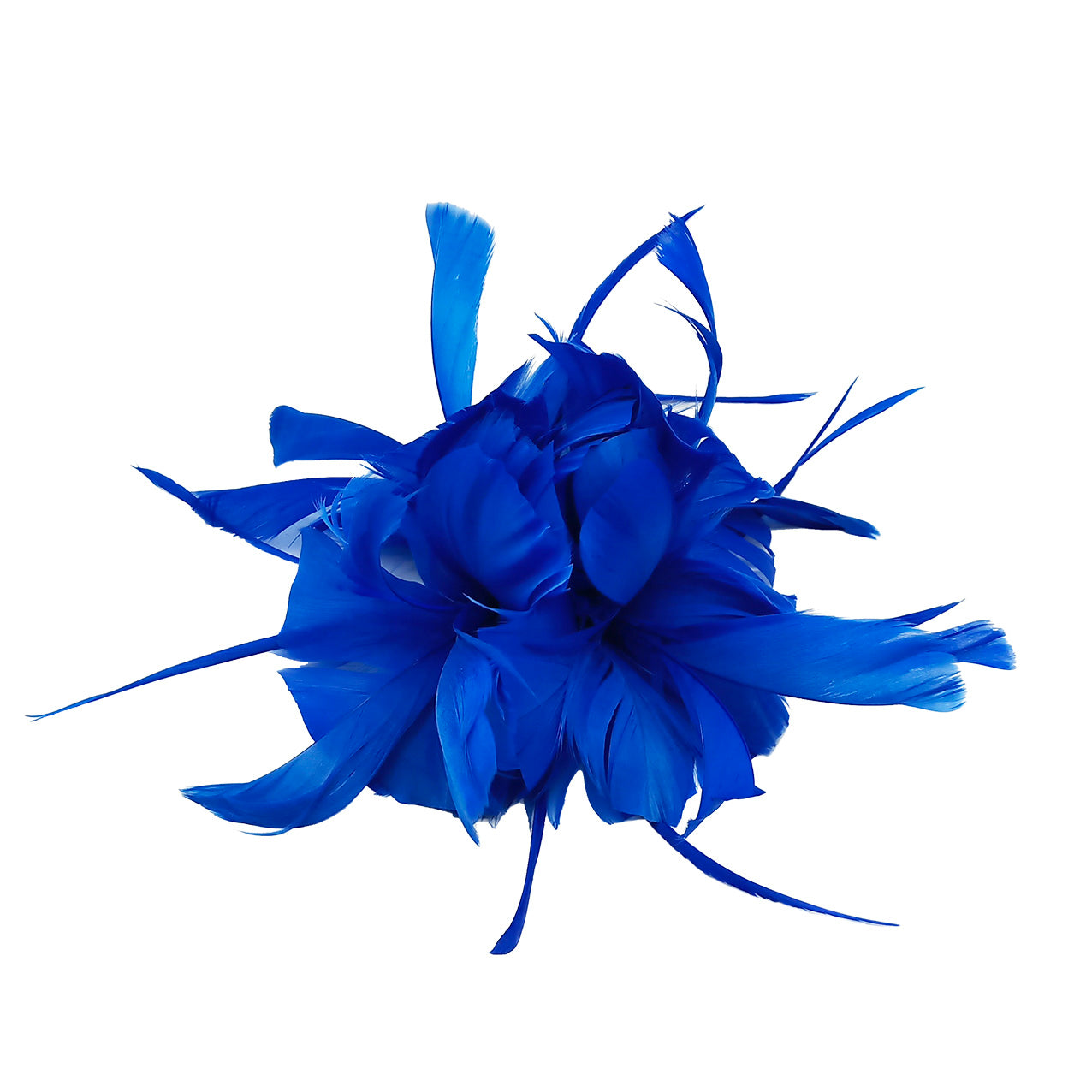 FT9138A Trimmed Feathers and Flowers Small Fascinator